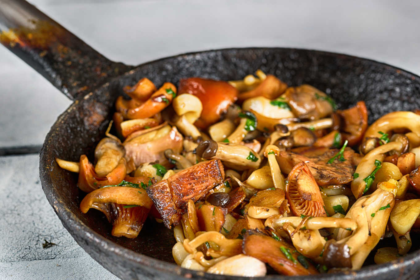 Why mushrooms are good for you